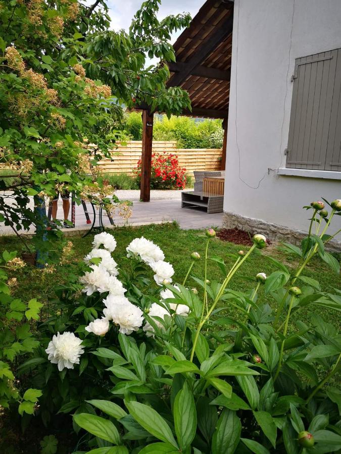 Maison 3 Etoiles Avec Jardin Pour Familles, Sportifs, Curistes... ديني-ليه-بان المظهر الخارجي الصورة